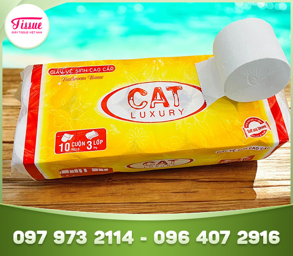 Giấy vệ sinh không lõi CAT Luxury 3 lớp 10 cuộn cao cấp tiêu chuẩn khách sạn 5 sao